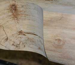 surface of log