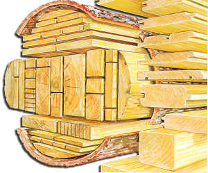 From a log to profiled boards