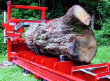 The Africa portable sawmill for giant logs - video
